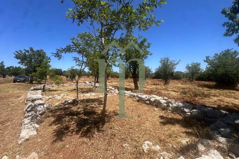 Ruinere i Carovigno, Brindisi, Carovigno - € 97.000 | Ref: Trullo Iovite - foto 11